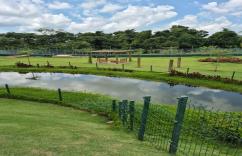 Damha III - Uberaba  ME 4007 